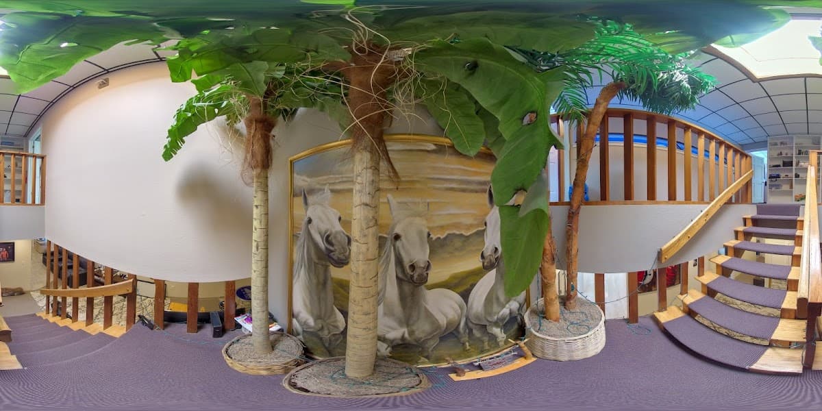 Paradise Village the Electronic Specialists car audio shop in Albuquerque, New Mexico photo 6