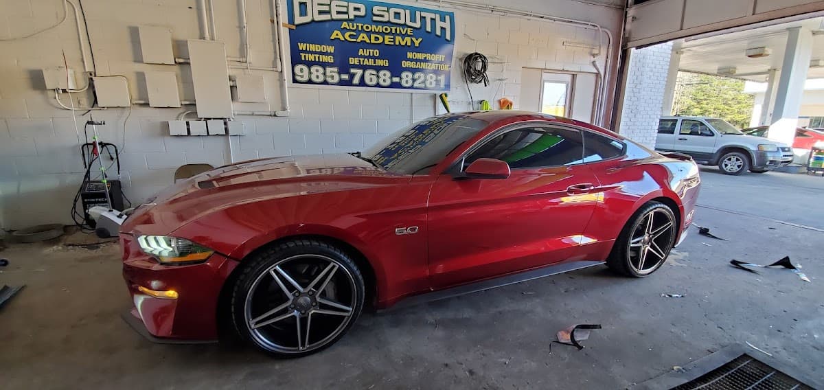 DEEP SOUTH AUDIO AND TINT image 2