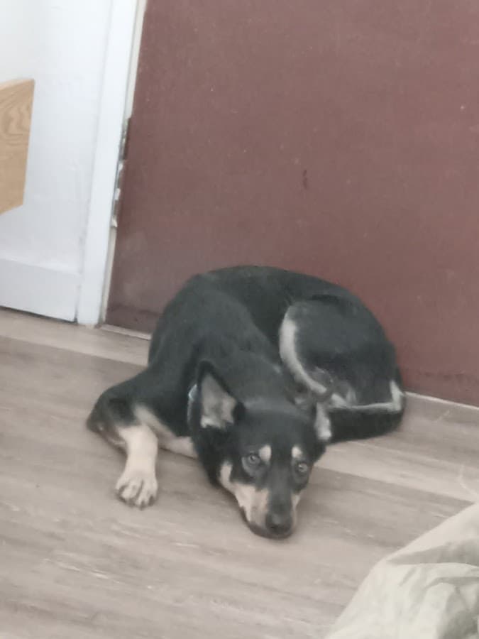 Power Plant car audio shop in Twin Falls, Idaho photo 4