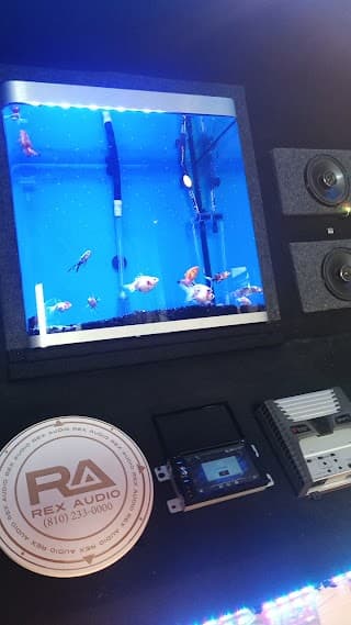Rex Audio car audio shop in Flint, Michigan photo 5