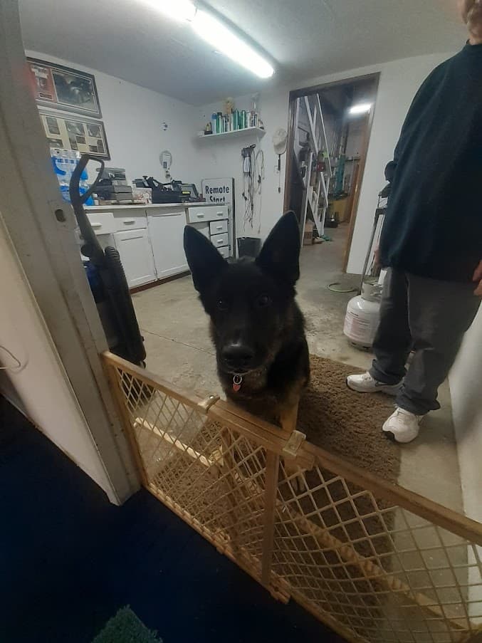 Valley Audio Install car audio shop in Spokane Valley, Washington photo 2