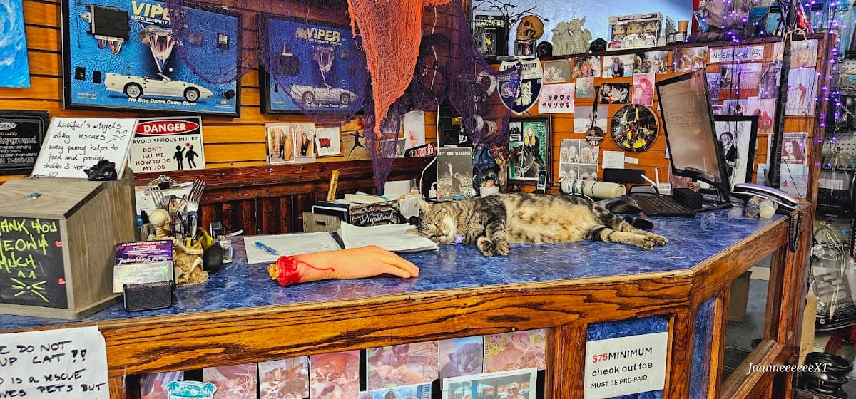 Sound Playground Inc. image 3