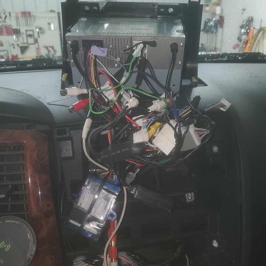 Gorilla Sound image 4