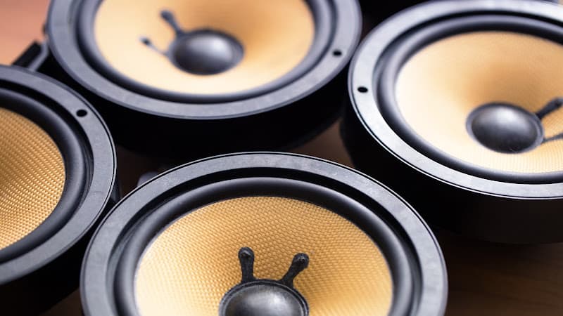 Close-up of black speakers with gold cones at LeeTronics Car Audio in Centralia, Illinois