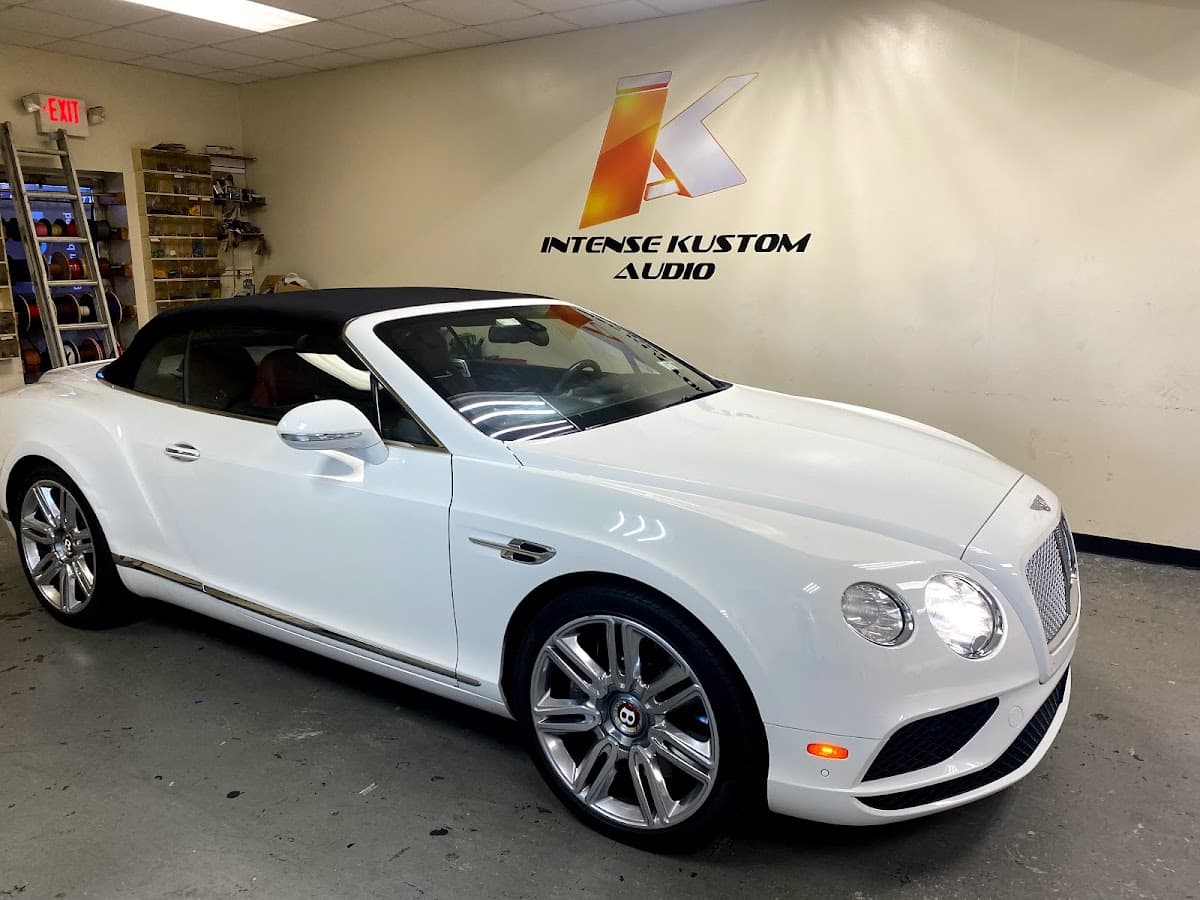 Intense Kustom Audio image 5